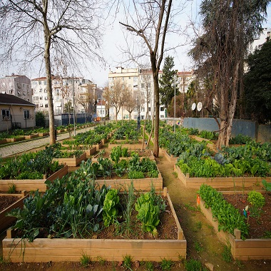 Moda Bostan Alanının Yer Aldığı İhale İptal Edildi